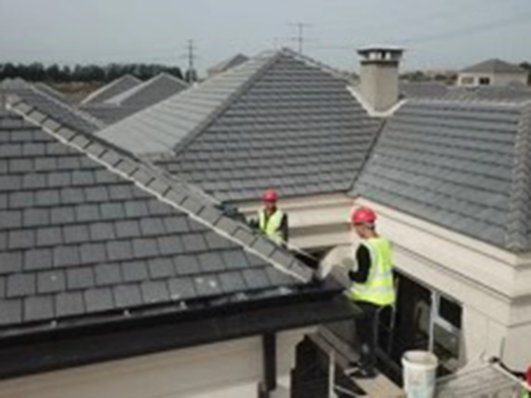 鱼乐体育app投注:胸腹主动脉支架：身体主管道的“东西包”